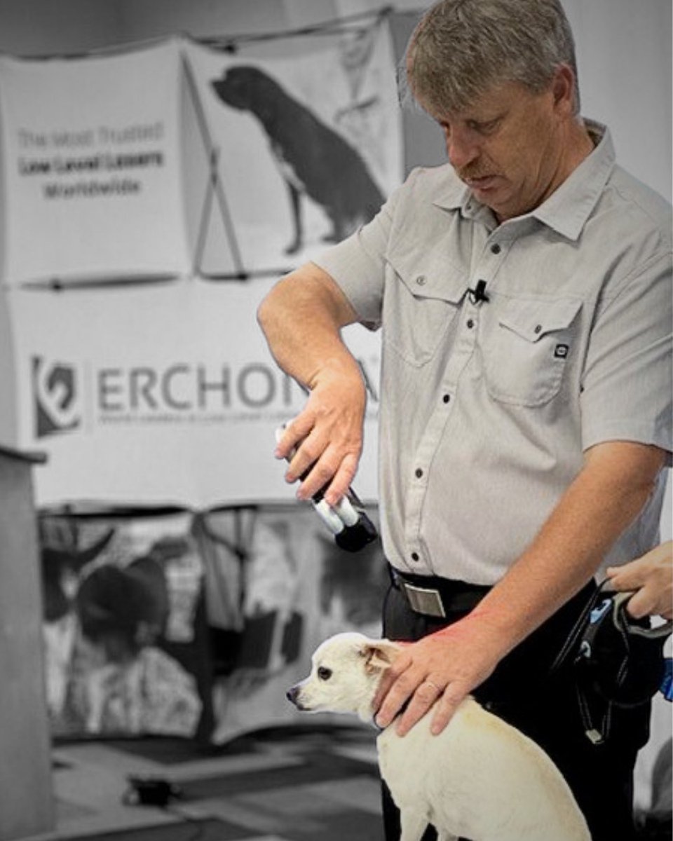 Erchonia tweet media