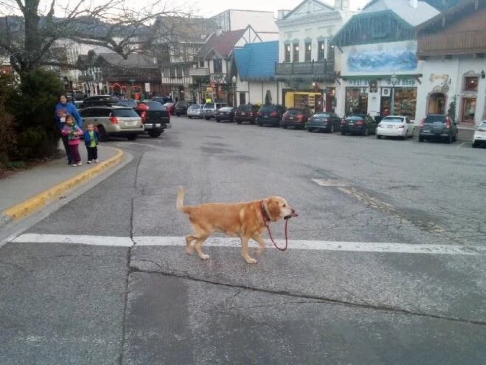 Looking for engineers who can do this