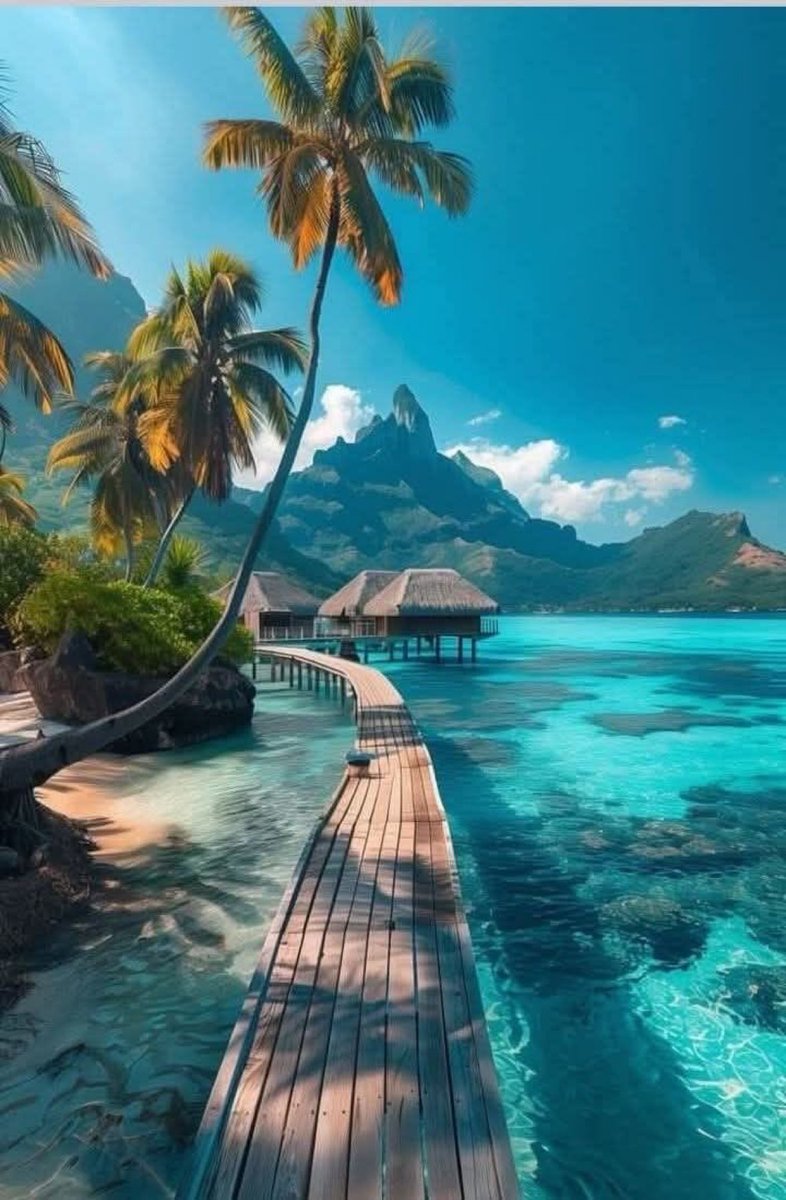 viewsoff_'s tweet image. Bora Bora