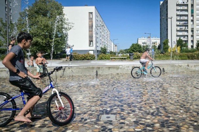 Media Express tweet media