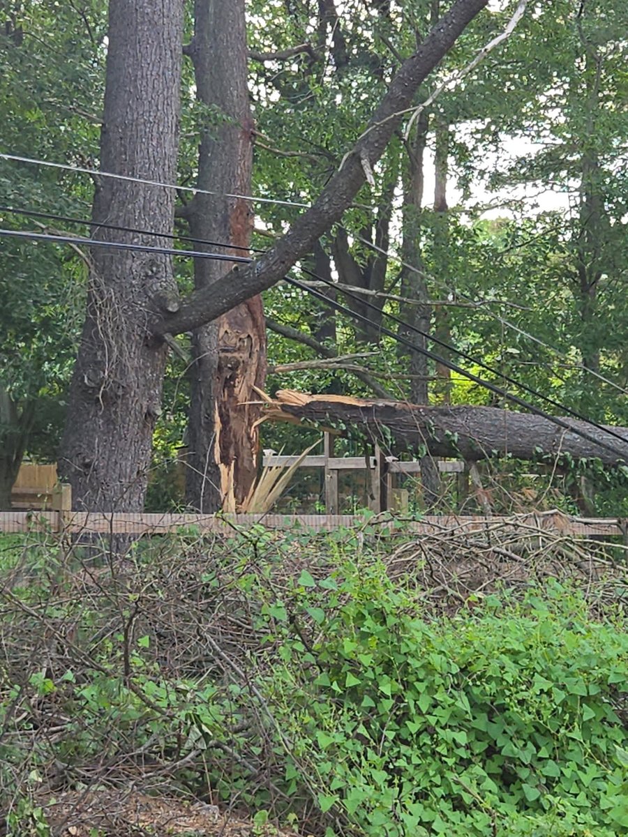 ComEd's tweet image. Welcome home, ComEd crews! Our incredible employees and support staff are back in northern Illinois after spending several days in the Philadelphia area helping restore power for @PECOconnect customers following severe storms. Despite the intense heat, our teams worked…