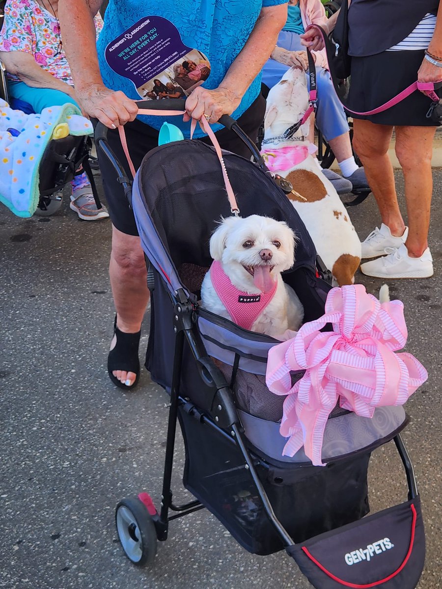 On the longest day of the year, the day with the most light, LSC's Trinity Village and Paw Tales partnered together to outshine the darkness of Alzheimer's. Countless furry friends and their owners put paws on the ground to walk to end Alzheimer's. #LSC #alzheimers