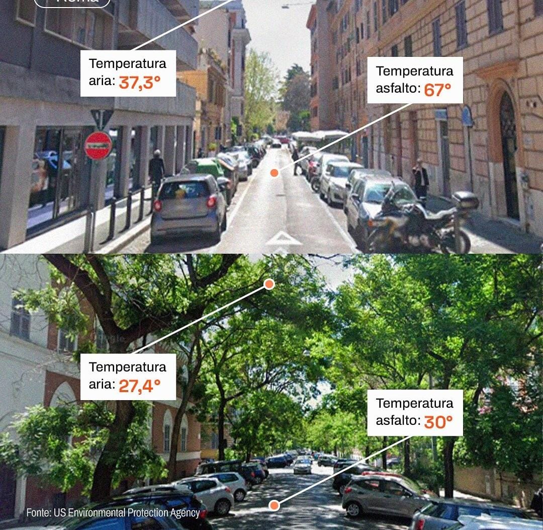 #Badalona s'ha tornat inhabitable a l'estiu, no podem esperar més a plantar MOLTS arbres de capçada gran per tenir carrers i places per on poder caminar i  protegir-nos de la calor extrema!!!

<a href="/AjBadalona/">Ajuntament de Badalona</a> <a href="/XarxaSost/">Xarxa Sostenibilitat</a> <a href="/IndependentBDN/">L'Independent de Badalona</a> <a href="/DiarideBadalona/">Diari de Badalona</a> <a href="/bdncom/">Badalona Comunicació</a>