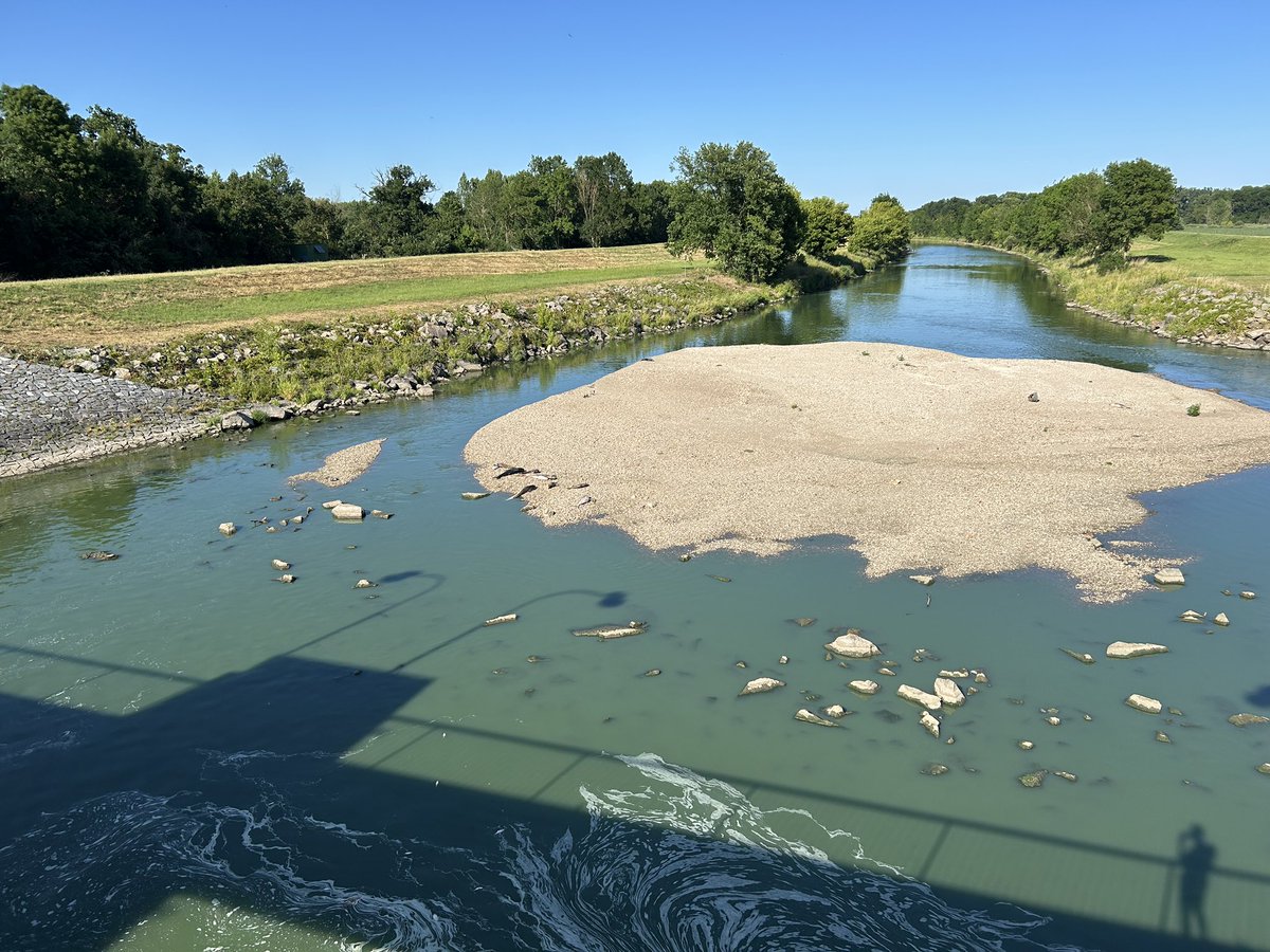 Tuny ryb uhynuly v řece Dyji u Bulhar na Břeclavsku. Podle vodohospodářů je to stejně jako v uplynulých letech kvůli horku, sinicím a nedostatku kyslíku ve vodě. Mrtvá těla teď rybáři z řeky odstraňují. Úhynem zasažené jsou asi 4 km pod vodní nádrží Nově Mlýny.