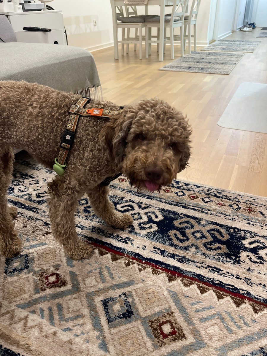 Снова в няньках