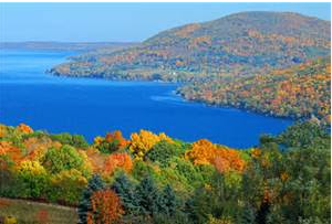 Alan Moreira tweet media