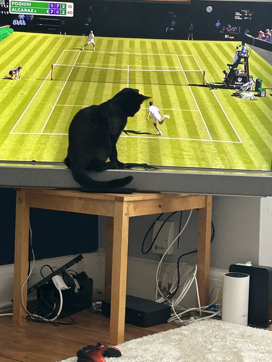 Dolly Tartan tweet media