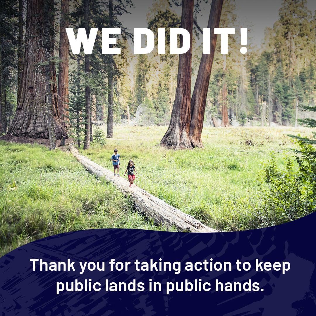 The Nature Conservancy in Michigan tweet media