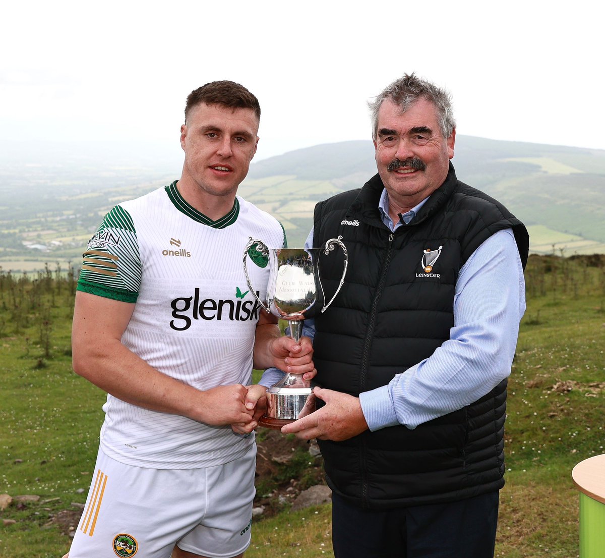 Leinster GAA tweet media