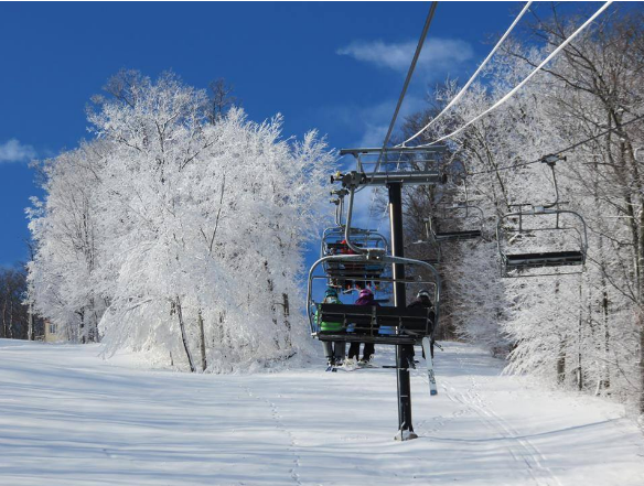 Alan Moreira tweet media