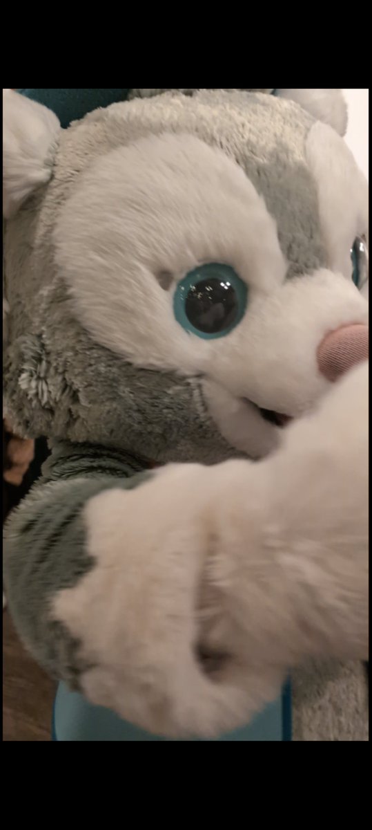 🎉♥︎ ᕼᗩᑭᑭY ᗷIᖇTᕼᗞᗩY ♥︎🎉ジェラトーニ🐱💚