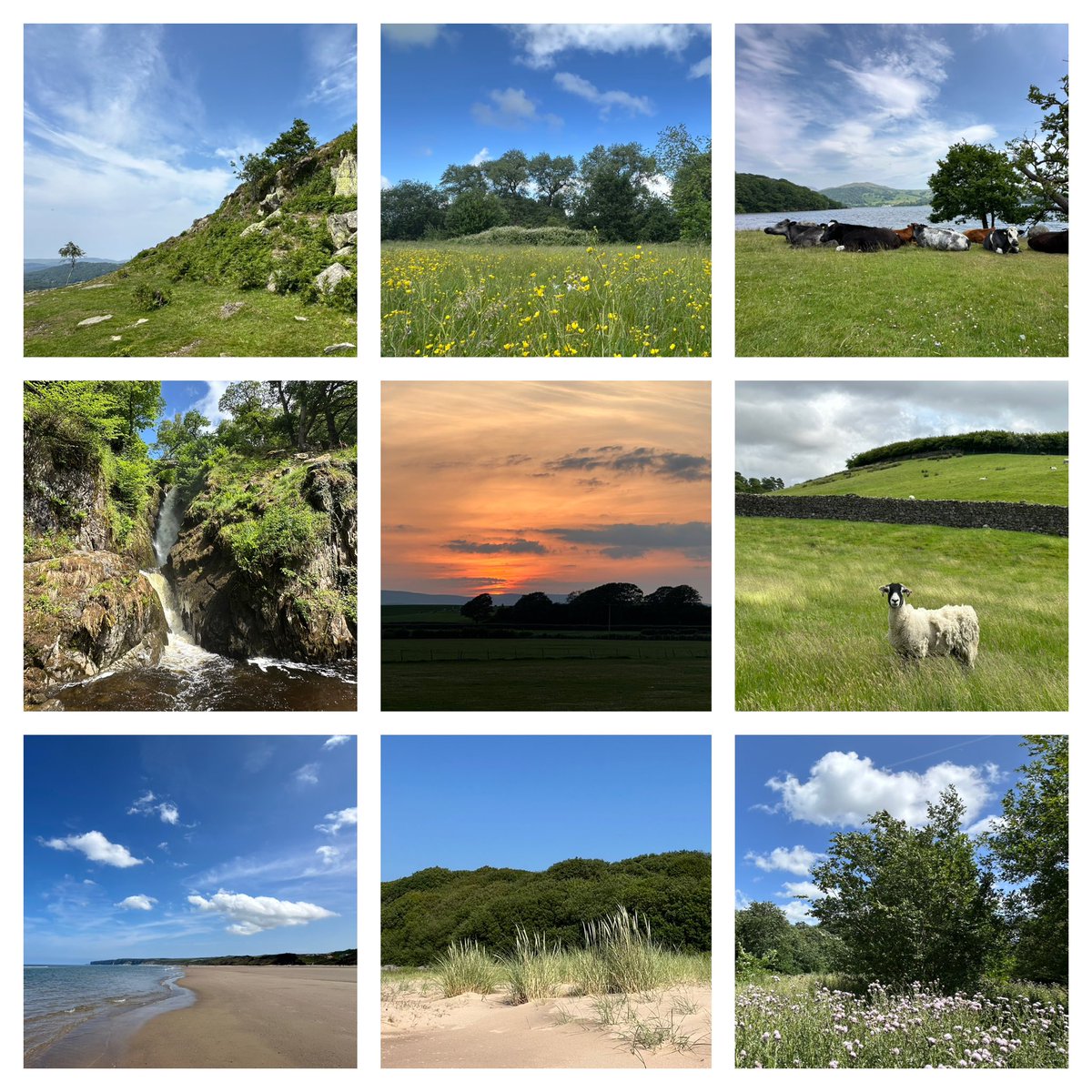 The wonderful #30DaysWild is almost over, consider staying wild &amp; connected to #nature &amp; the #health benefits for 365 days a year: wildlifetrusts.org/stay-wild
Collage is of my favourite times this June. 
#wellbeing #therapy #outdoors #mindfulness #mentalhealth
#MondayMotivation