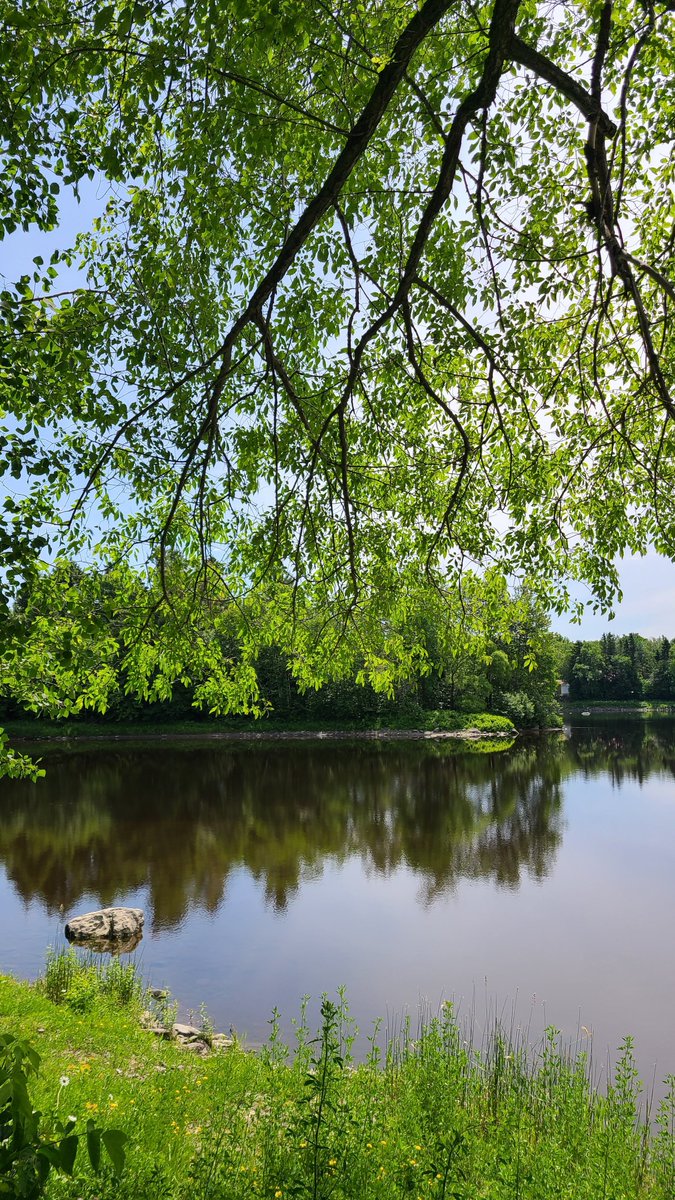 Tranquillité...
❣️