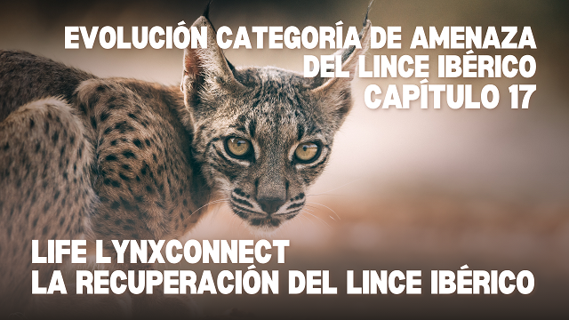 Life Lynxconnect tweet media