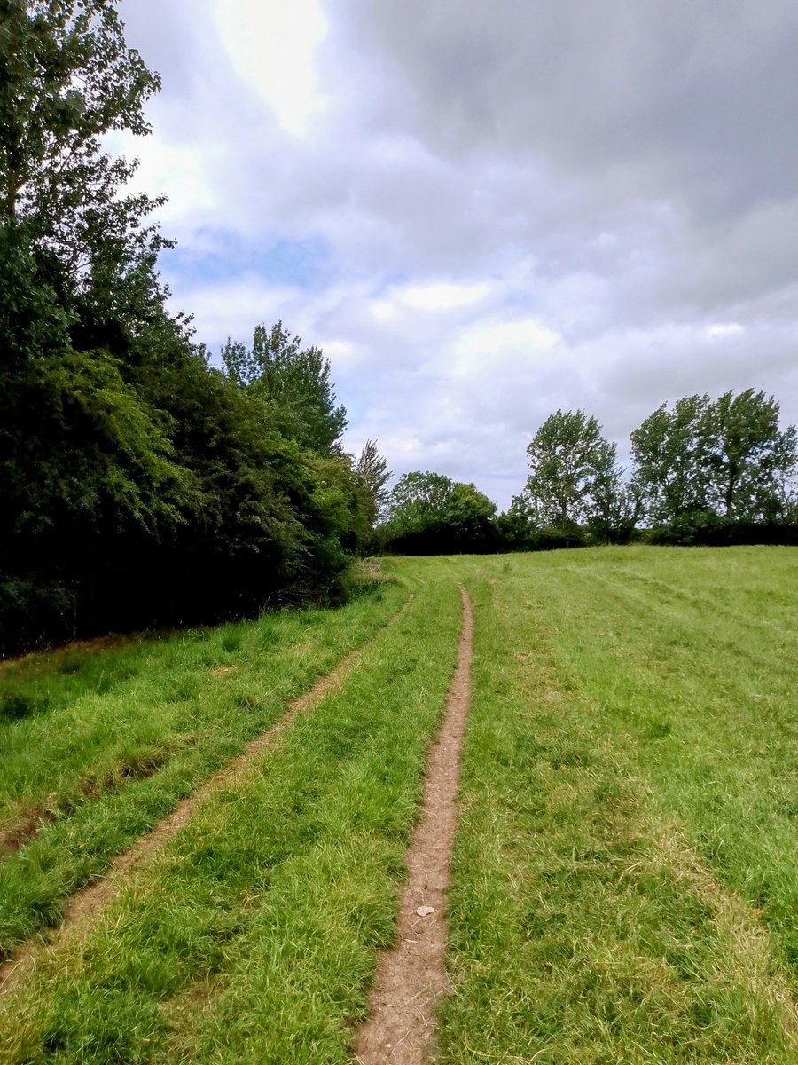 phil0073's tweet photo. Along #CliffesDale with rain #clouds. Along #Kettering2Faxton path. #PhilOnaBike #MondayMeander #JuneJaunts #FootpathFriday #FridayFields #FaxtonFields https://t.co/gTvlpx0QFQ