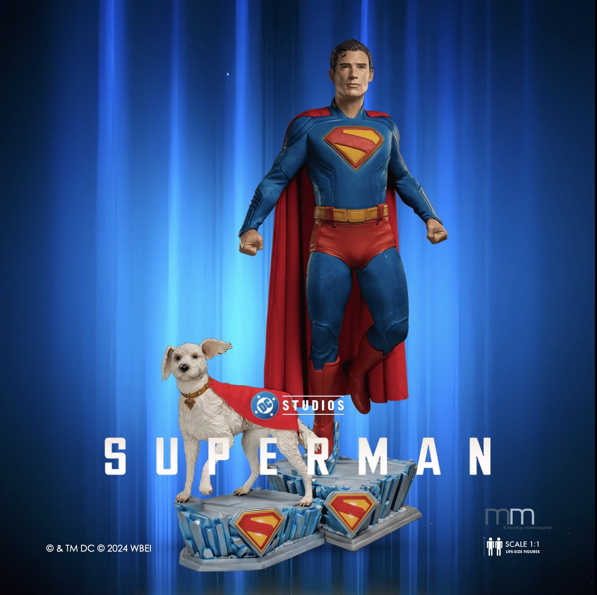 Superman &amp; Krypto  1/1 life-size figure <a href="/WarnerBrosSpain/">Warner Bros. España</a>  by Muckle Mannequins GmbH.
#Superman #SupermanTheMovie 

Disponible en nuestra web para preorder
