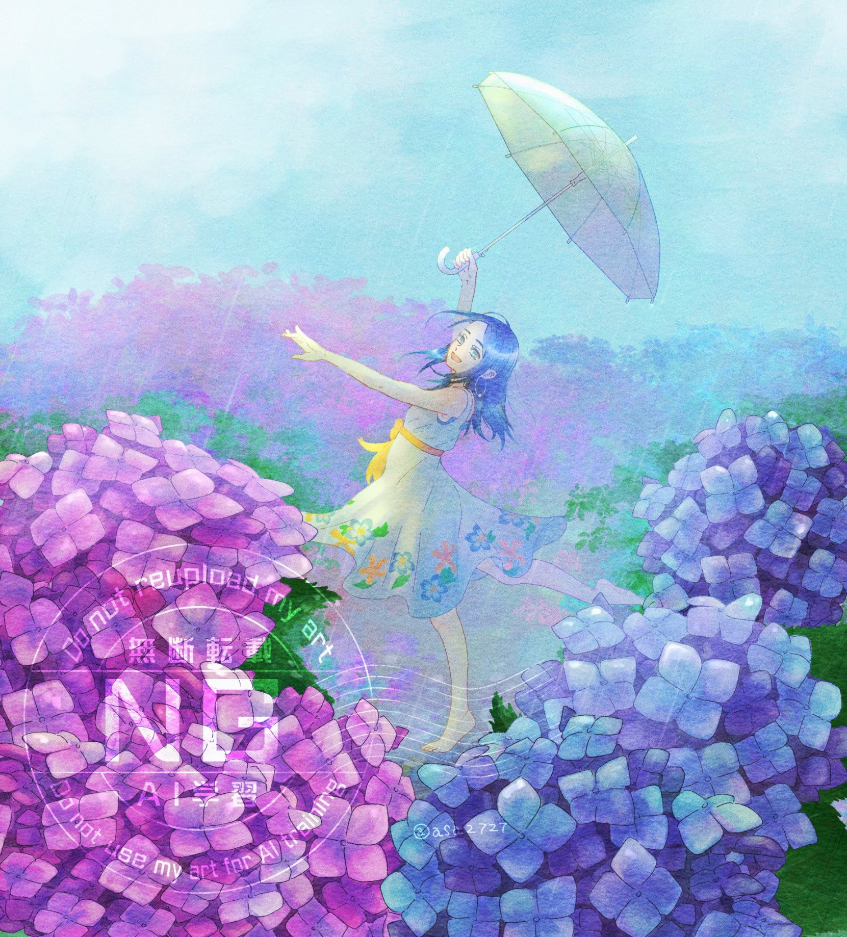紫陽花は梅雨時の花 雨がよく似合う 開花時期は6月から7月
