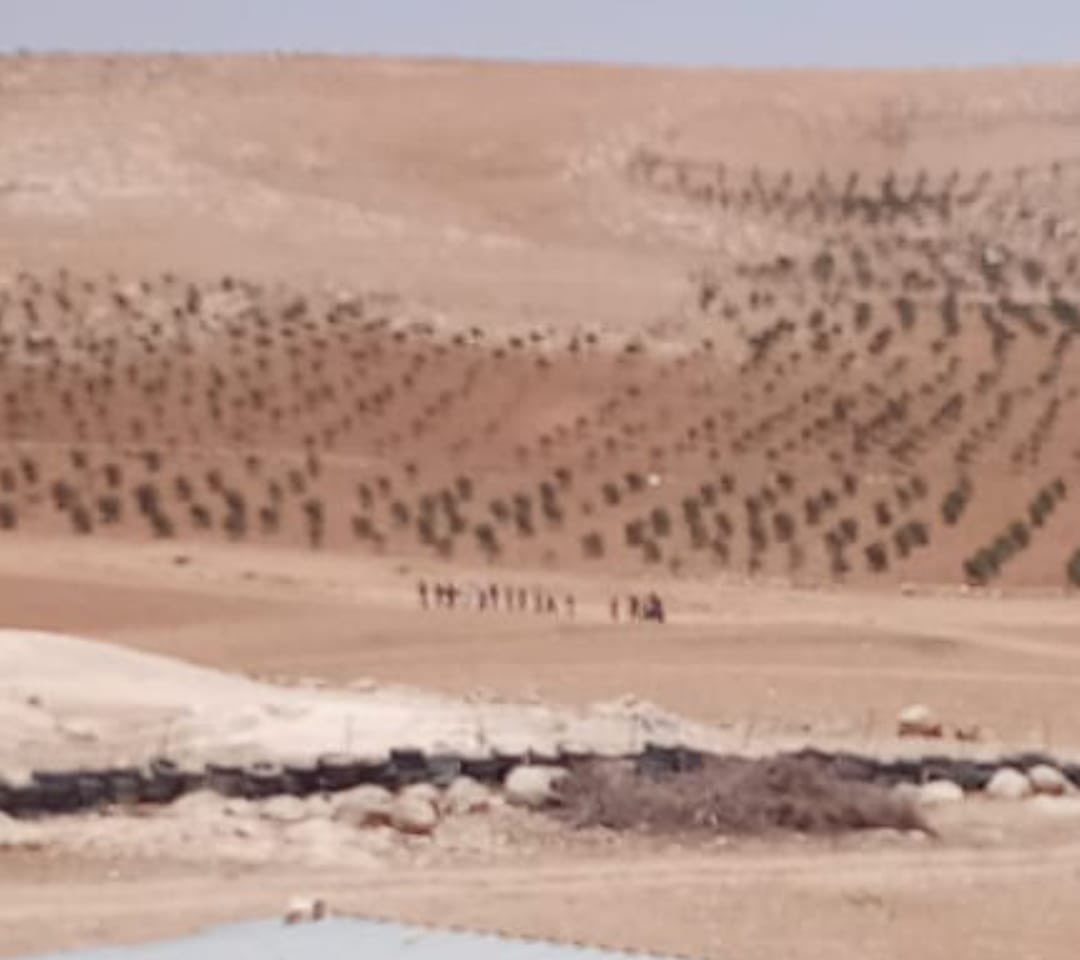 HurainiSami's tweet image. Now Israeli Occupation Forces are arresting around 14Palestinians including women and children from the village of Al Mirkiz in Masafer Yatta, this happened after people in the village kicked out settler that break into their land and trees, #savemasaferyatta