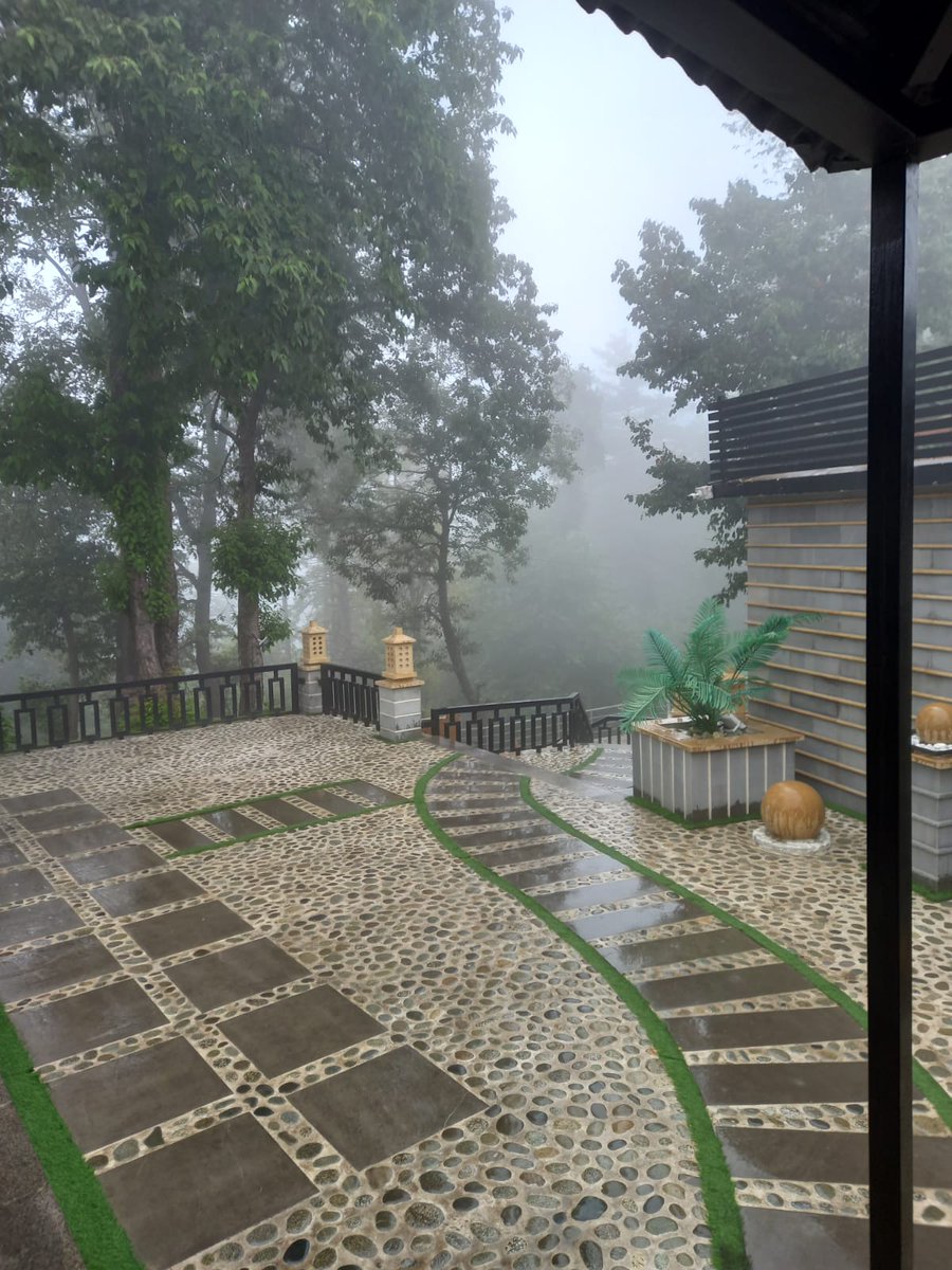 Post a picture 
No description 
🍁