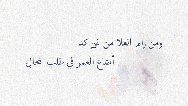 بيت شعر عربي كل يوم (@arabicpoet0) on Twitter photo 
