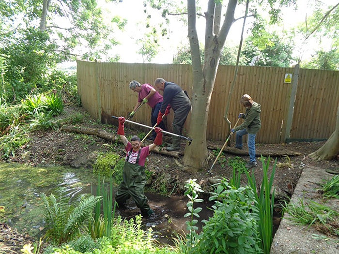 We are delighted to have been able to help the volunteer team, who do a fantastic job of looking after the Cooksditch stream, by donating some rakes to help with their ongoing management of this very important ancient waterway.
newsletter.favershamsociety.org/faversham-soci…