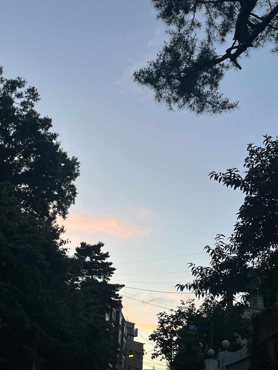 덥지만 예쁜 여름 저녁