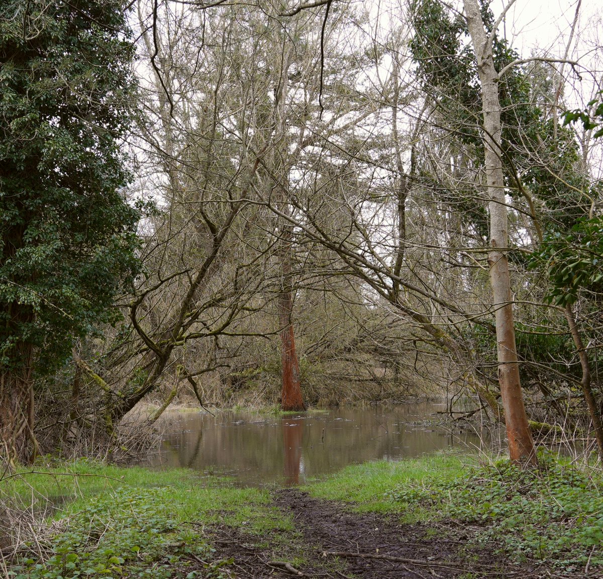Floodshield's tweet photo. ๐ฟ Nature helps reduce flood risk: https://t.co/vFJzKNfXwB
๐ง When heavy rain hits, nature sometimes needs a helping hand. Floodshield offers quick, tool-free protection: https://t.co/A9P6oCktr3
Smart flood defence that works with nature.
#Floodshield #FloodReady https://t.co/nOa7OZvAq1