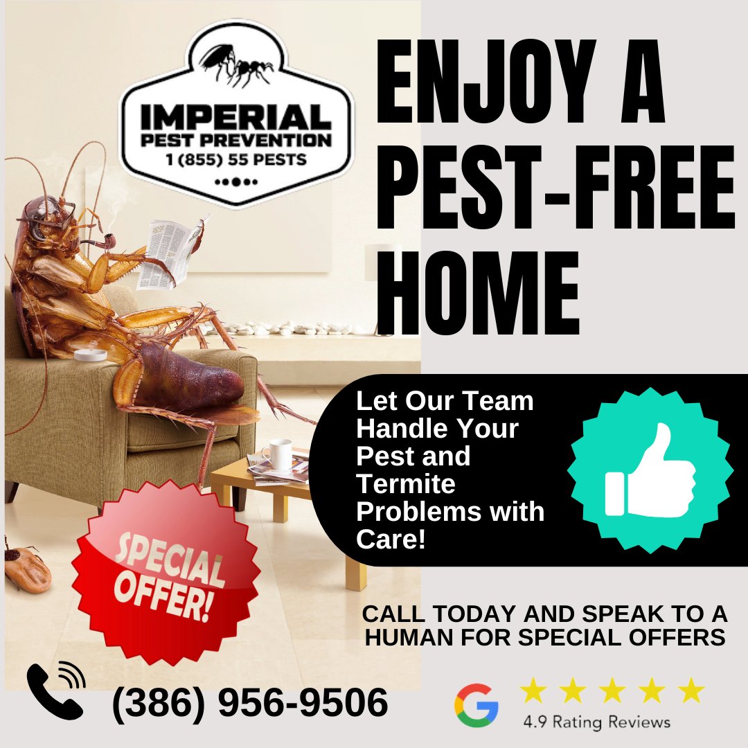 🕷️🐜 BUGGING OUT? 🐜🕷️
Don’t let creepy crawlers crash your summer! 🔥☀️
Call Imperial Pest Prevention – your local bug-busting heroes! 🦸‍♂️🦟

📞 386-956-9506
Fast. Friendly. Ferocious on pests. 💥

Say goodbye to unwanted guests and hello to peace of mind! 😎🏡