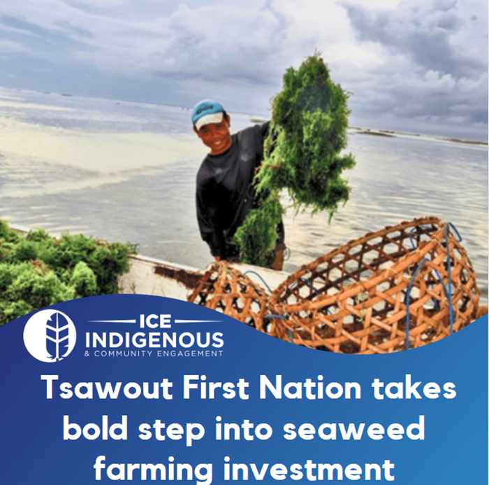 Tsawout First Nation joins forces with Sidney's Cascadia Seaweed to deepen commitment to blue economy. lnkd.in/g26NHP_J #indigenous
