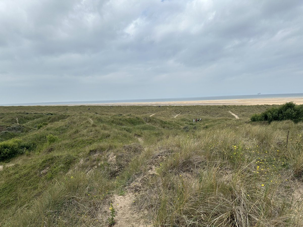 Sailing at Bolton School tweet media