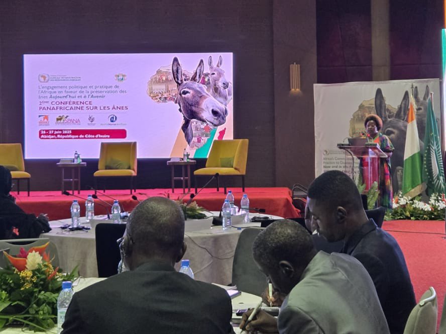 #LastWeek, #PADCO2 delivered historic milestones in Abidjan! 🇨🇮

✅ Donkey Strategy (2026–2035)
✅ Abidjan Declaration: indefinite moratorium on slaughter 
✅ AU Donkey Program in sight

ReadMore: 🔗 shorturl.at/LPrpP

#DonkeyPreservation #AbidjanDeclaration #AnimalWelfare