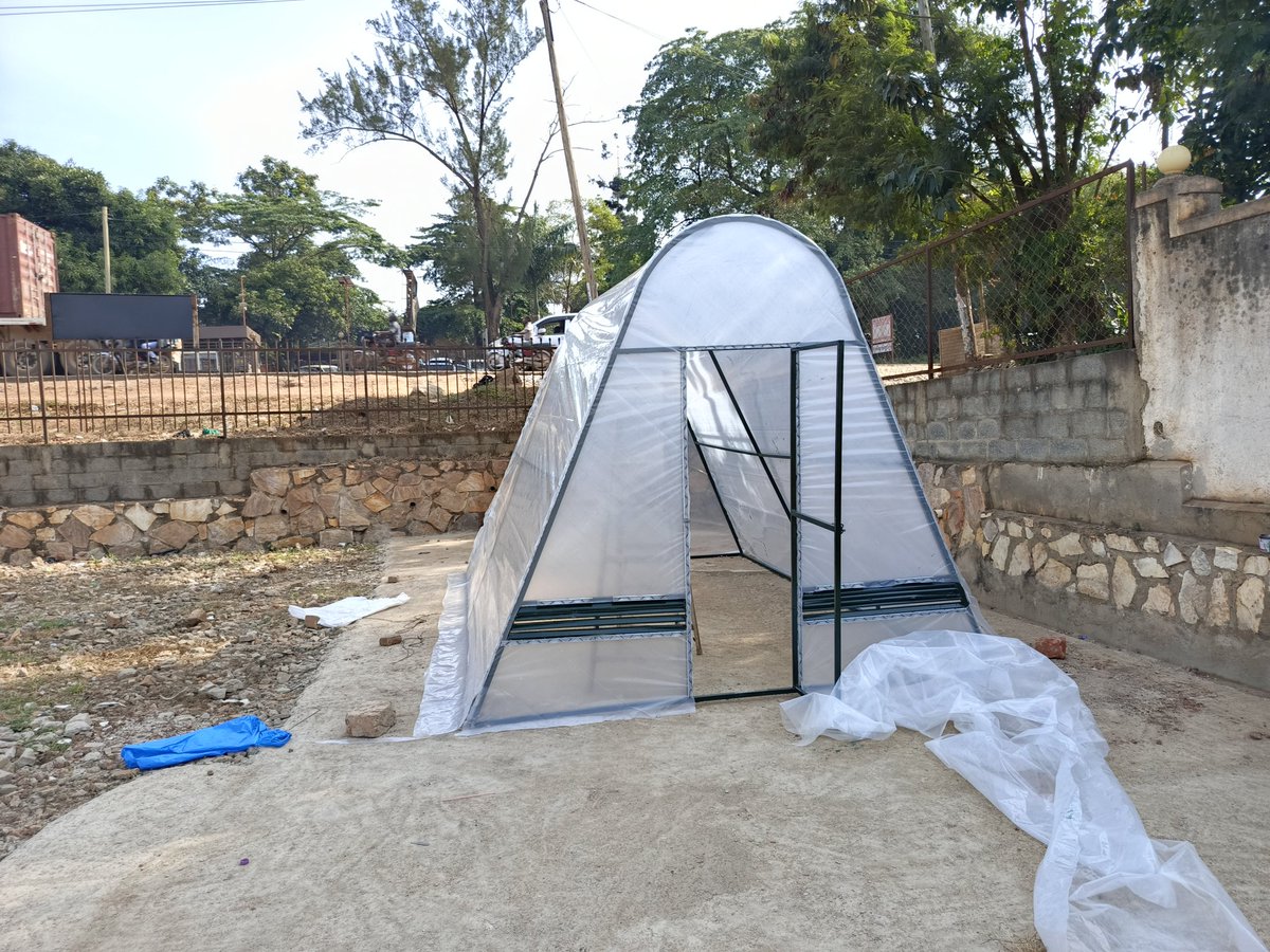 d_daddi's tweet photo. @kirya_ug @ventuslink256 @rogezlaptops We build solar dryers and Greenhouses 
0778464421
@nicconsults https://t.co/BsWVI95jll