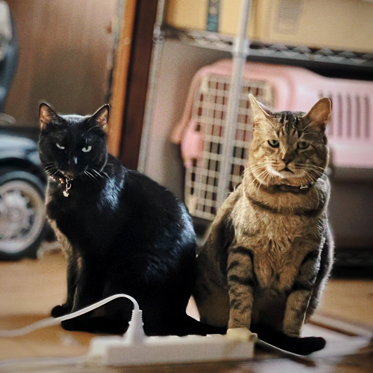 ジャケ写？