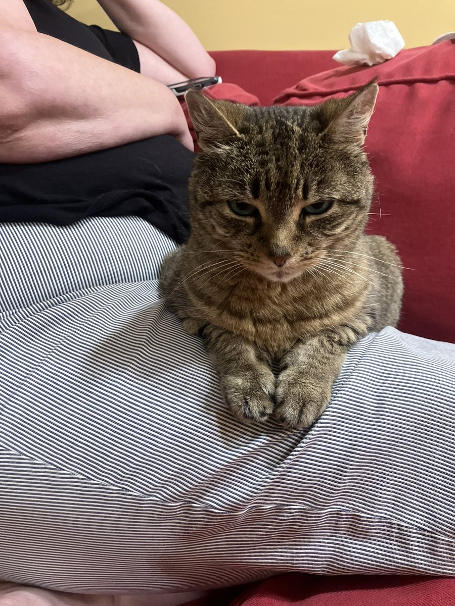 get AWAY from mine MOMEY!!!!