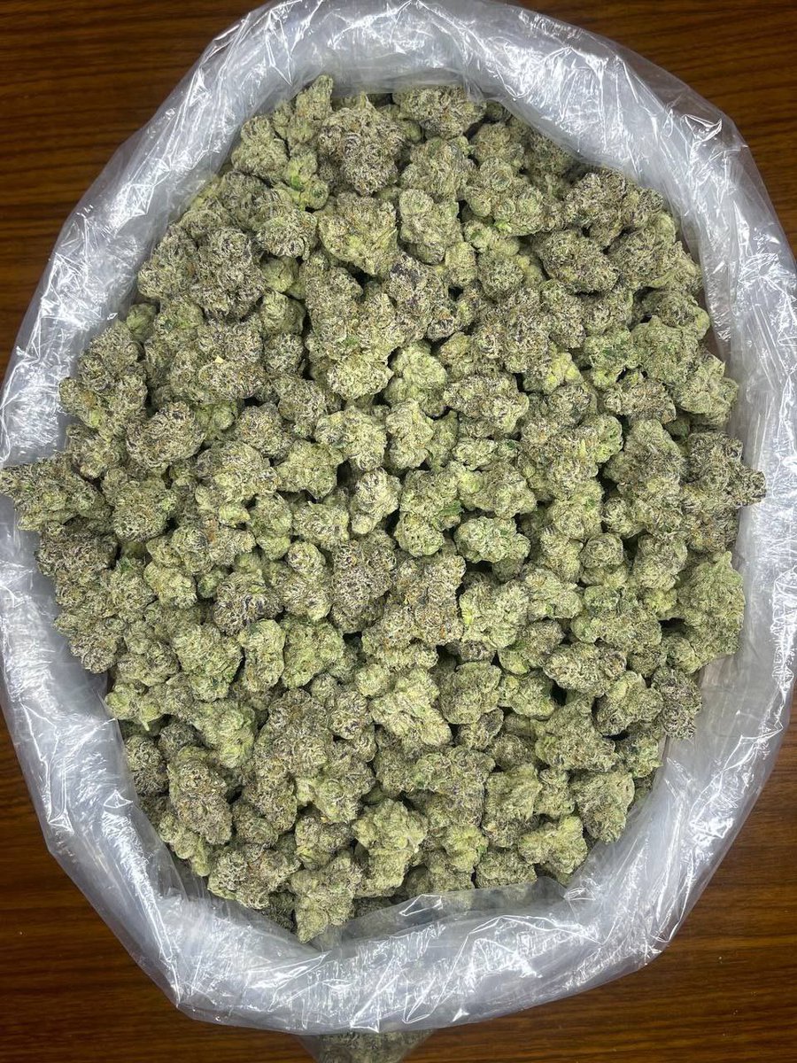 kushmatt_'s tweet photo. What name would you give?

https://t.co/CfPgYI7w0J https://t.co/aQlVVtFQXY