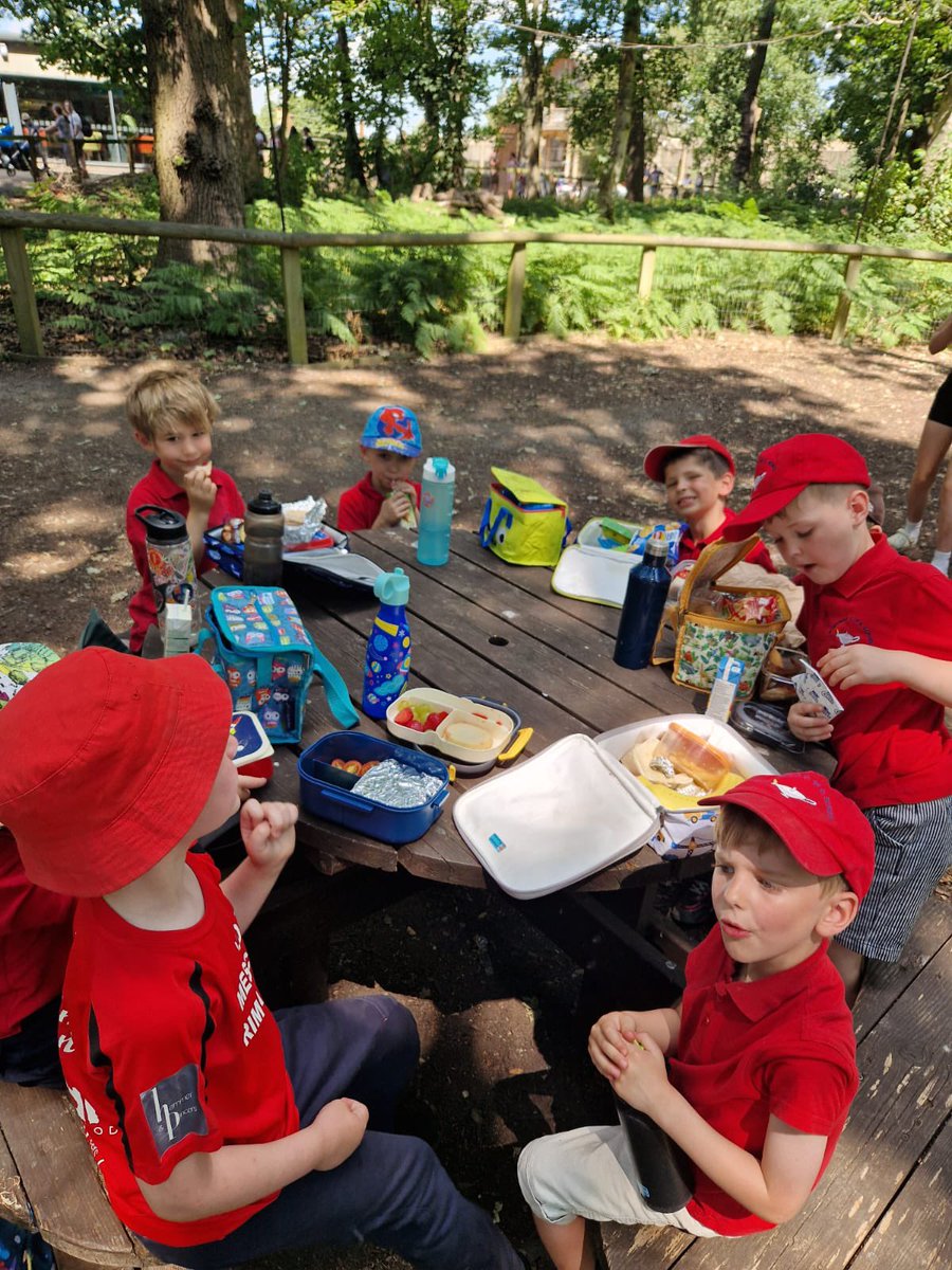Lunch time! We've spotted lots of animals so far and lots left to see!