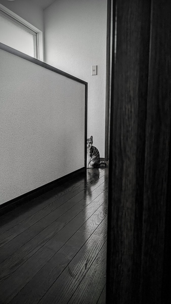 F.Nakajima (@focus_saion) on Twitter photo 