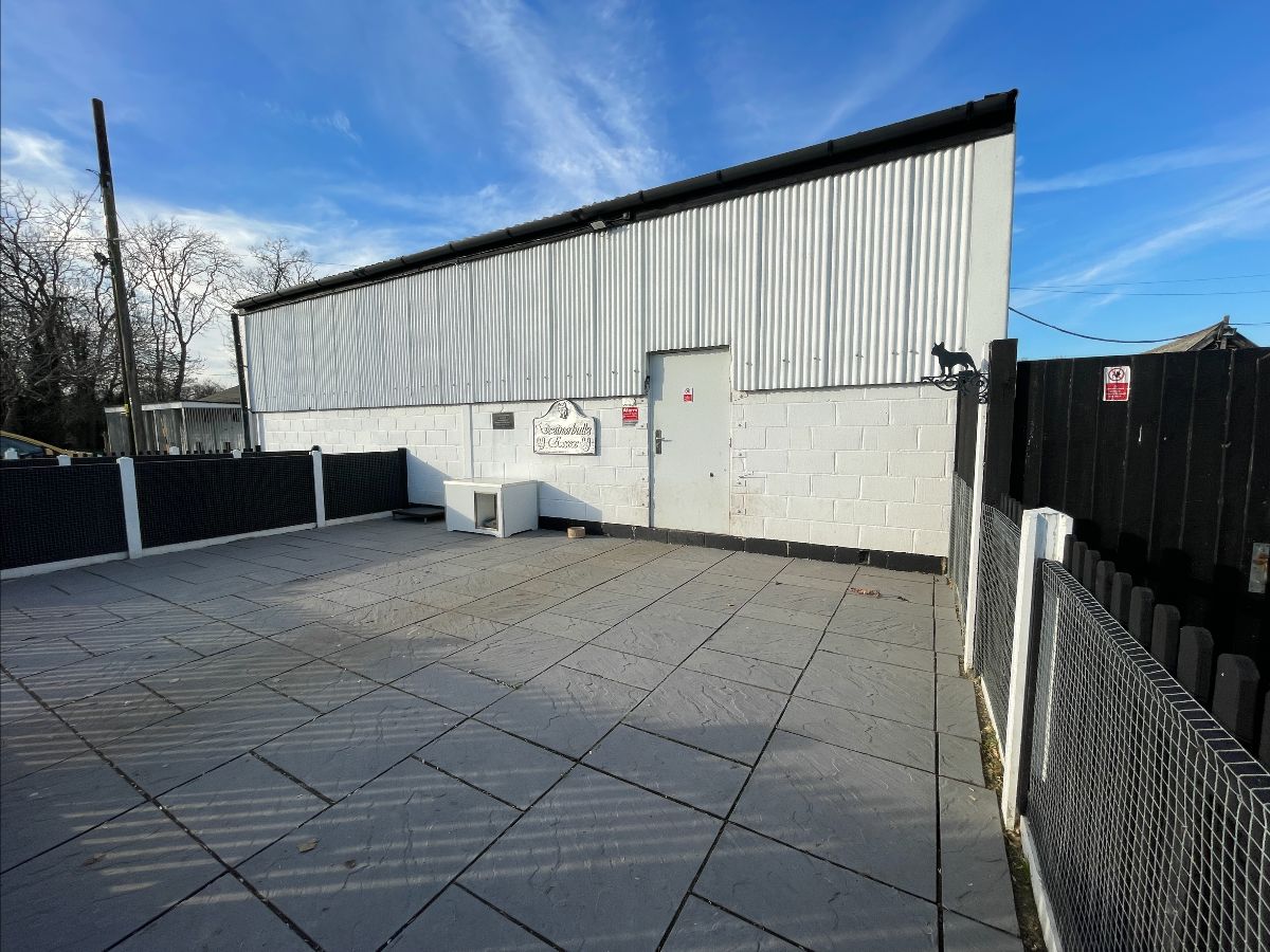 RENTAL OPPORTUNITY:  Smallholding, Althorne - mailchi.mp/whirledgeandno….  Viewings: 4th July (appointment only).  Tender deadline:  17th July.  For more information contact Amy 01245 231123