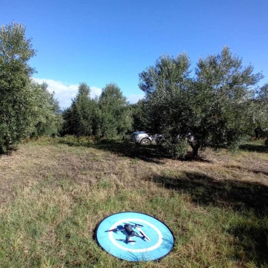 ProjectGood's tweet image. Drones are transforming weed management through: High-resolution weed density mapping, Site-specific management recommendations, Automated precision interventions. Visit our AWM Repository: goodhorizon.eu/platform/awm-p… #agroecologyisgood #goodhorizon #PrecisionFarming #DroneMapping