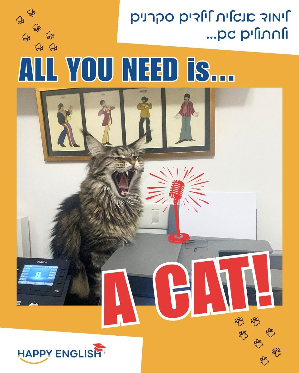 בית ספר ללימוד אנגלית לילדים | חוגים לימוד אנגלית tweet media