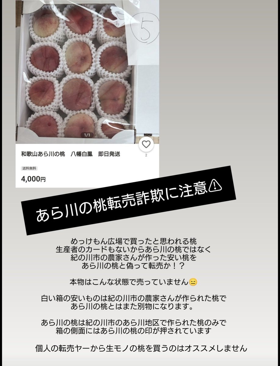 あら川の桃の個人転売ヤー
ひどすぎる😫

#あら川の桃