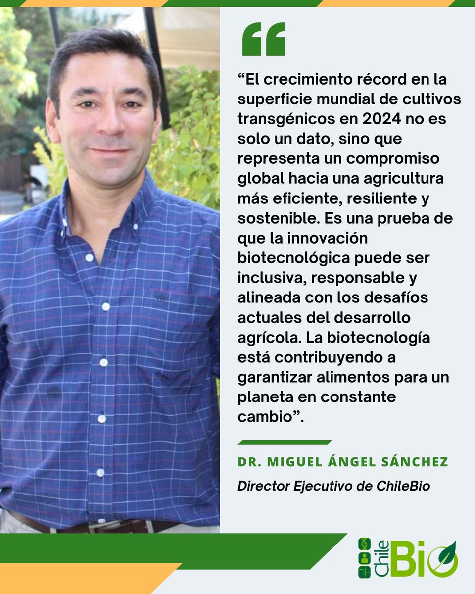 La superficie mundial dedicada a cultivos genéticamente modificados (#OGM o #transgénicos) creció un 1,9 % en 2024, alcanzando un nuevo máximo histórico de 209,8 millones de hectáreas, representando más del 12% de la superficie arable del planeta 🧬🌽

bit.ly/4eqtnWX