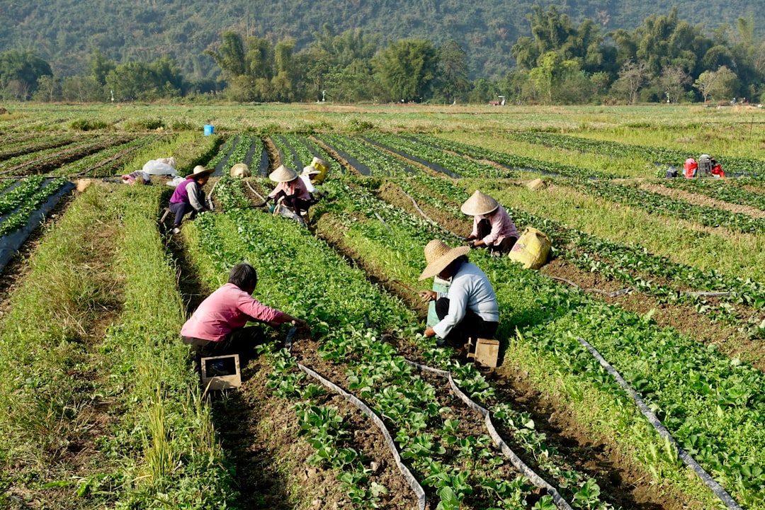 Backswath's tweet photo. “The support I’ve received has been invaluable for my farm!” - Join our community and discover how we can guide you through HR and financial puzzles. https://t.co/bbQ8FfWDdV