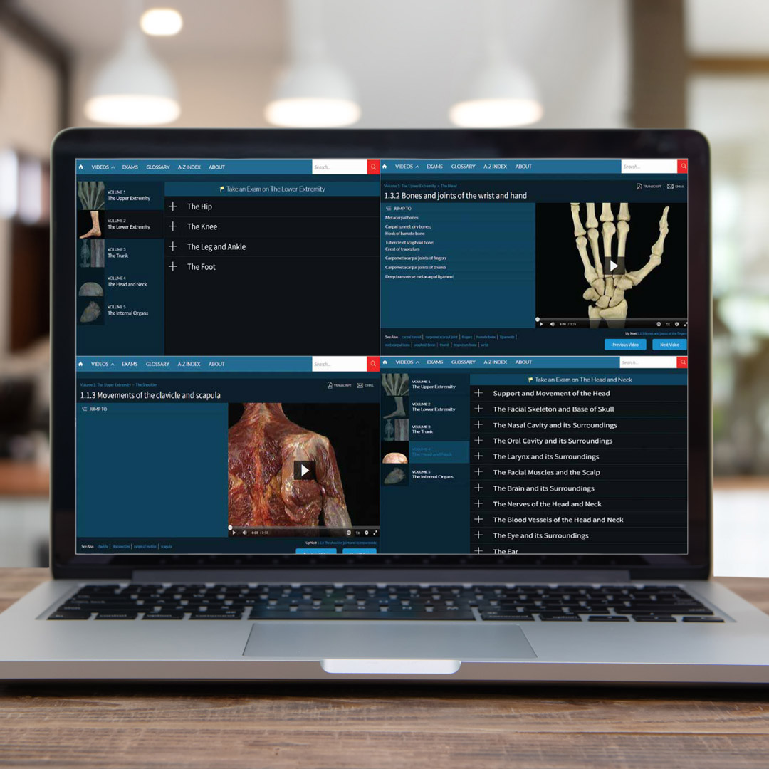 Lippincott Medicine (@lippincottmed) on Twitter photo Lippincott® Anatomy provides educators with a suite of trusted digital content and easy-to-integrate tools to keep students engaged, all while improving learning outcomes. Enhance anatomy learning: ow.ly/uxaA50WhkSk #Anatomy #MedicalEducation Lippincott® Anatomy provides educators with a suite of trusted digital content and easy-to-integrate tools to keep students engaged, all while improving learning outcomes. Enhance anatomy learning: ow.ly/uxaA50WhkSk #Anatomy #MedicalEducation