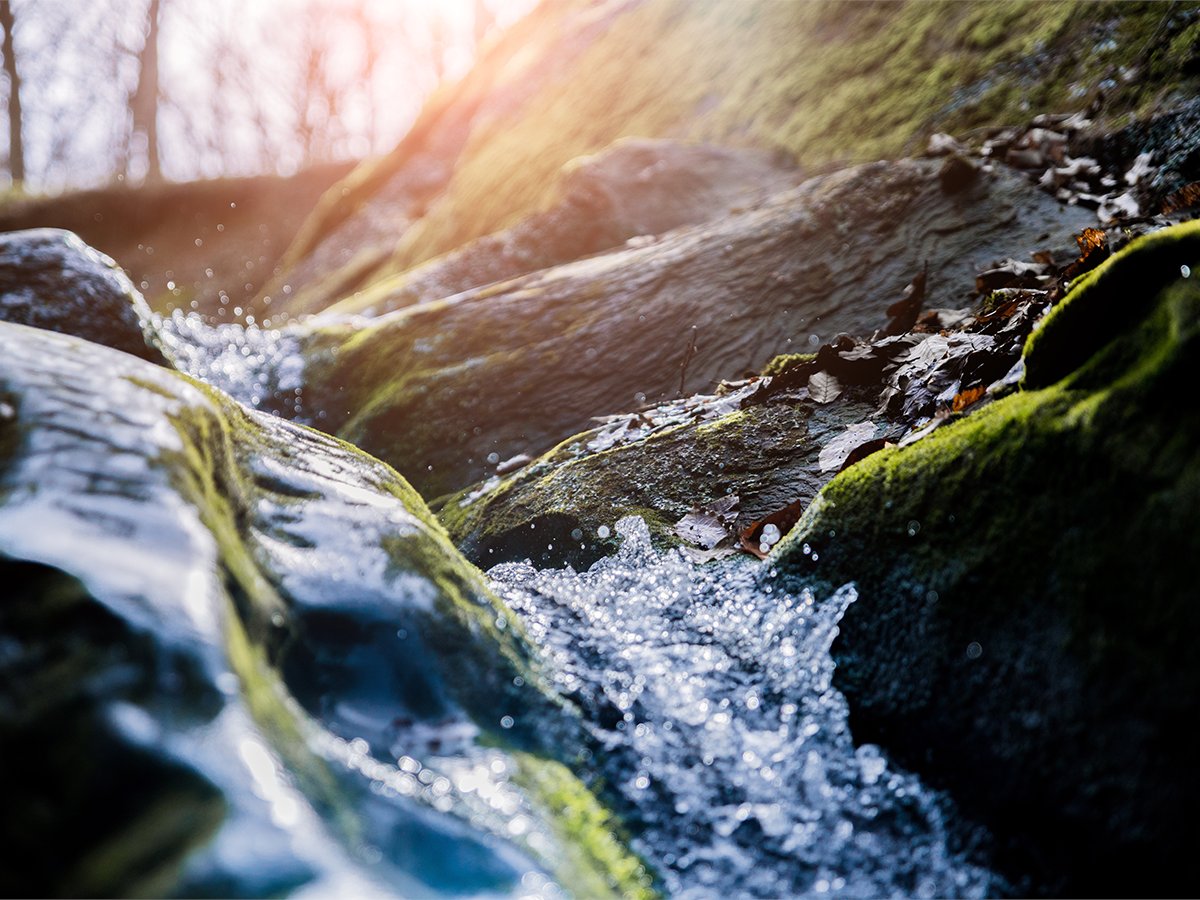 Learn how we’ve reduced solvent consumption by 70% in our manufacturing process, cutting VOC emissions, and lowering our CO2 footprint at our Köniz site: ow.ly/V3gJ50WieZm

#haagstreit #sustainability #socialresponsibility #climate #environment