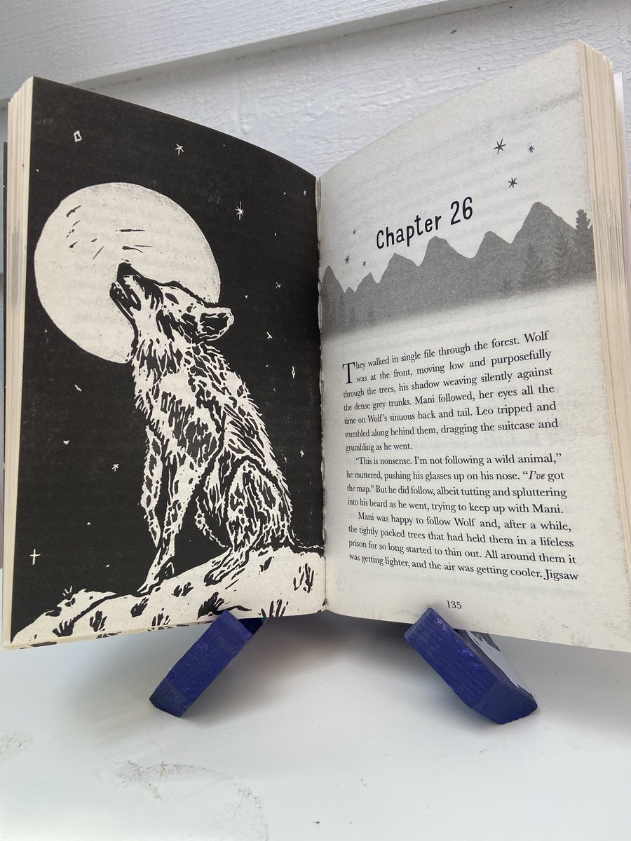Five days. Five posts. Day 1/5. Unexpected delights! A friend made me a bookrest to display #TerraElectrica on - a wonderful thing - and a reminder that, however tempting it is to hide away, writing a book is something to be proud of. @neemtreepress #writing #kidlit #mg #brave