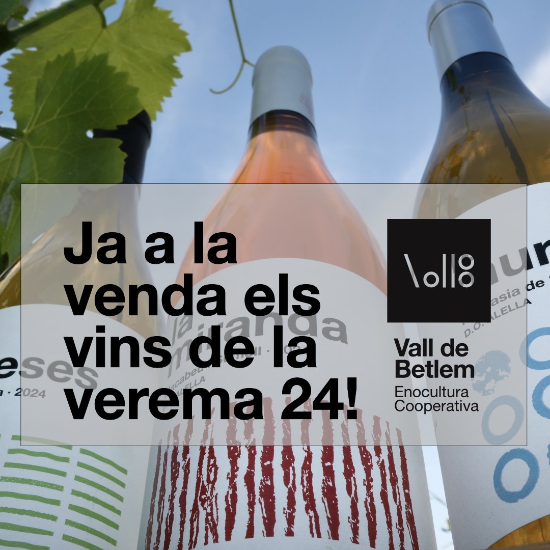 Ja tenim a la venda els vins de l'anyada 2024. Els podeu comprar de diferents maneres:a la botiga de la pàgina web botiga.valldebetlem.cat O al nostre local del carrer Marina 68 a BDN els dimecres de 16'30h a les 20'30h. #malvasia #garnatxablanca #sumoll