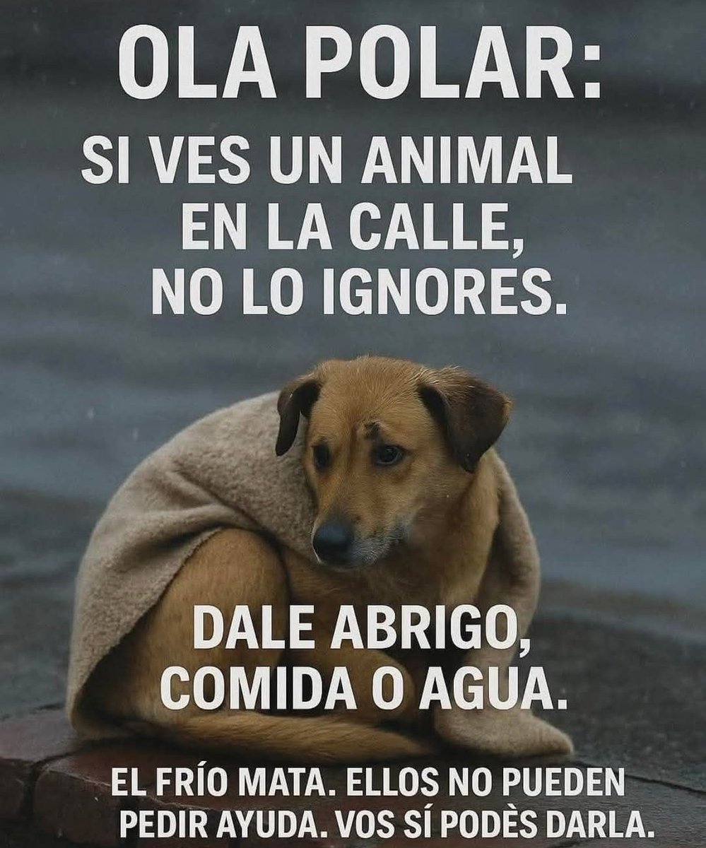 @ColoBV5 tweet media