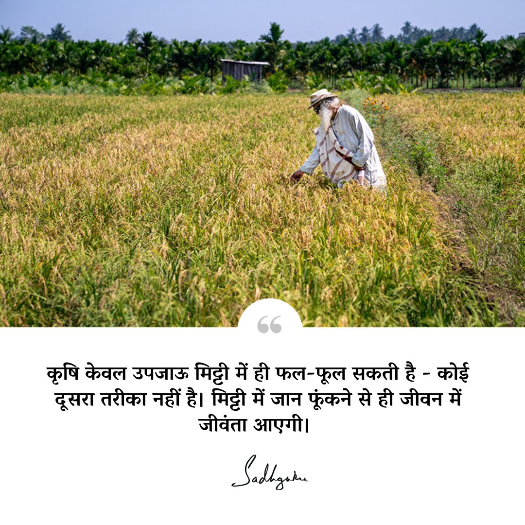 कृषि केवल उपजाऊ मिट्टी में ही फल-फूल सकती है - कोई दूसरा तरीका नहीं है। मिट्टी में जान फूंकने से ही जीवन में जीवंता आएगी।