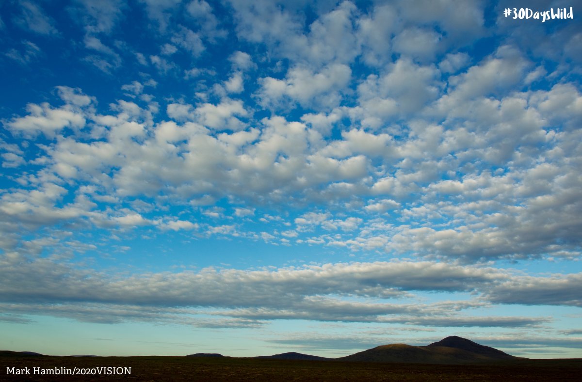 Take it easy for the final day of #30DaysWild and go cloud-watching. Take deep breaths, enjoy your time in nature and see what images you can spot in the clouds. 

We’d love to see your pictures! 📷👇